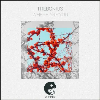 Where Are You by Trebonius