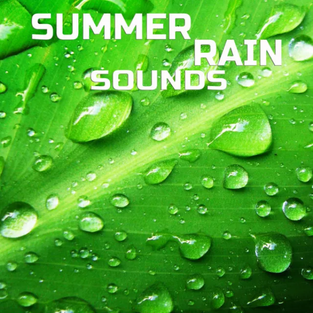 Summer Rain Sounds