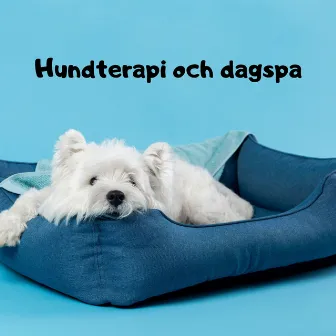 Hundterapi och dagspa - Slappna av och lugna ner din hund, stressavlastning, 432 Hz läkande ljudbad för hundar i djursalongen by Dogotherapy