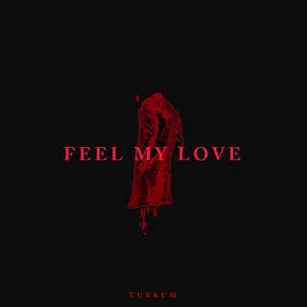 Feel My Love by Türküm