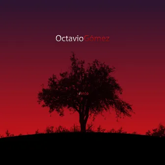 Viento by Octavio Gomez