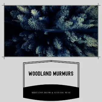 Woodland Murmurs: A Mystic Odyssey by Meditation Drums & Shamanic Music