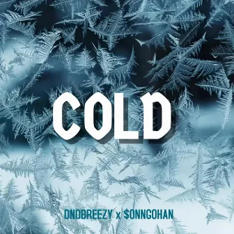 Cold by DND Breezy