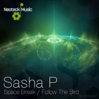 Space Break / Follow the Bird by Sasha P