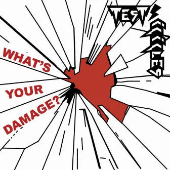 What's Your Damage? by Test Icicles