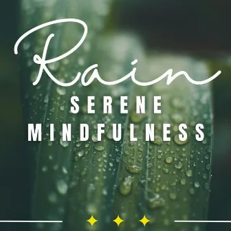 Meditative Rainfall: Zen Soundscapes by 1 Hour Meditation