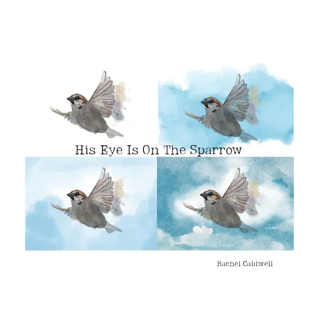 His Eye Is On The Sparrow