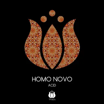 Acid by Homo Novo