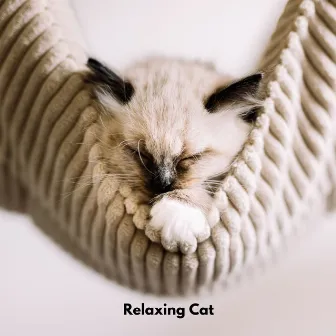 Relaxing Cat by Cat Musik Jukebox