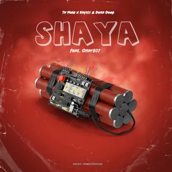 SHAYA (Acoustic Version) by Dena Deep