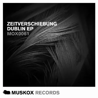 Dublin EP by Zeitverschiebung