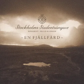 En fjällfärd by Unknown Artist