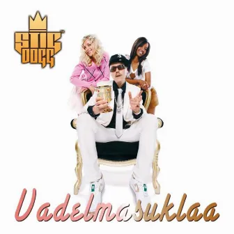 Vadelmasuklaa by Stig Dogg