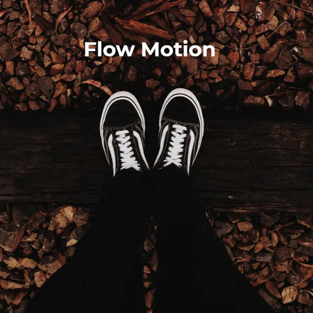 Flow Motion