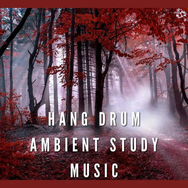 Hang Drum, Ambient Study Music