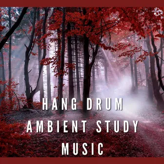 Hang Drum, Ambient Study Music by NA Namaste