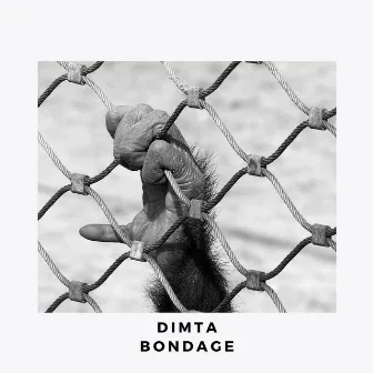 Bondage by Dimta