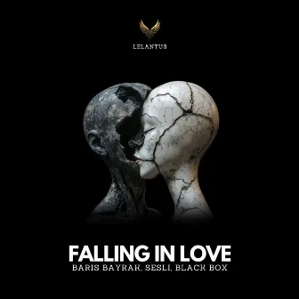 Falling in Love (2Qimic Remix) by Sesli