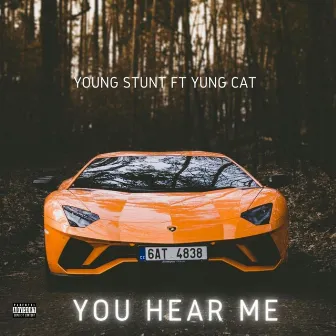 You Hear Me by Young Stunt