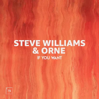 If You Want by Steve Williams