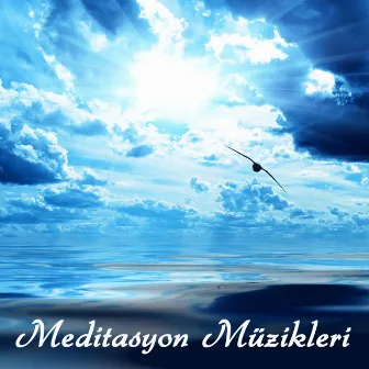 Meditasyon (Meditasyon Müzikleri: Flüt, Gitar ve Doğa) by Meditasyon Enstrümental