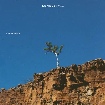 Lonely Tree by Tom Snowdon