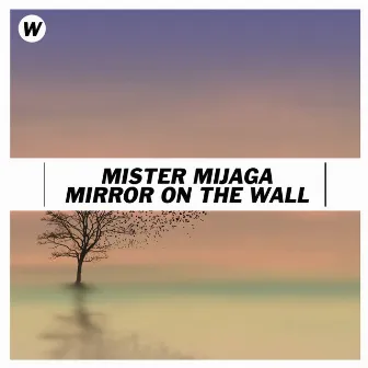 Mirror on the Wall by Mister Mijaga