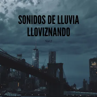 Sonidos De Lluvia Lloviznando, Vol. 2 by Cara de lluvia