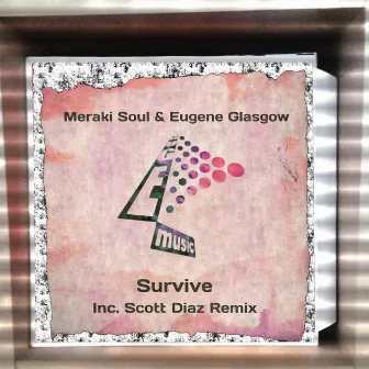 Survive by Meraki Soul