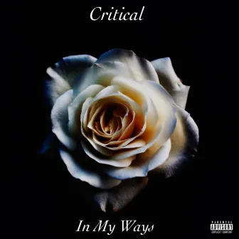 In My Ways by Critical