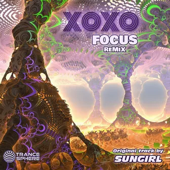 Focus by XOXO (FR)