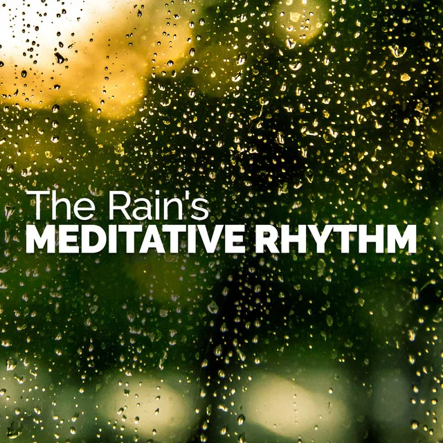 The Rain's Meditative Rhythm