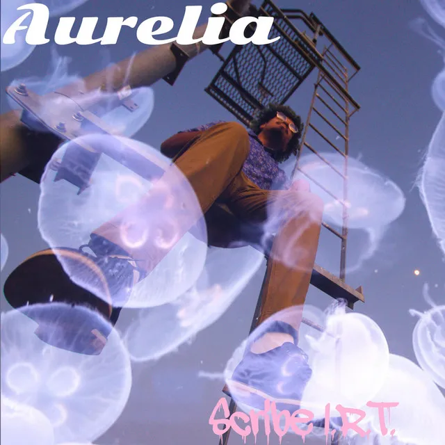 Aurelia