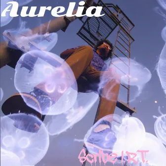 Aurelia by Scribe I.R.T.