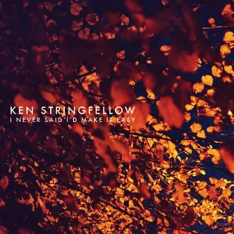 I Never Said I'd Make It Easy by Ken Stringfellow