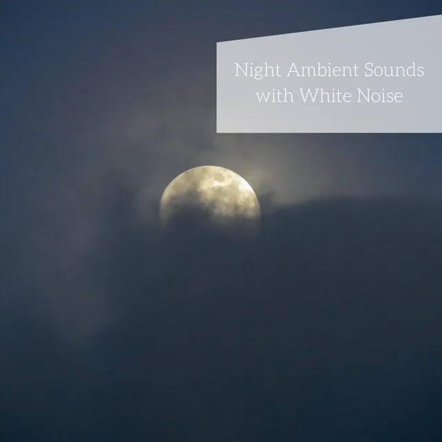 Night Ambient Sounds with White Noise, Loopable