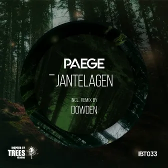 Jantelagen by Paege