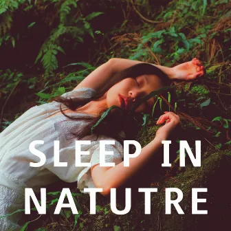 Sleep in Nature - Piano Music by Exams Study USA