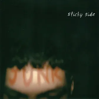 Sticky Side by Le Junk