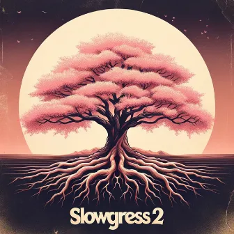 Slowgress 2 by Mayday