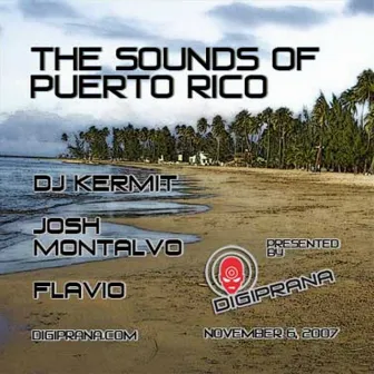 The Sounds Of Puerto Rico by DJ Kermit