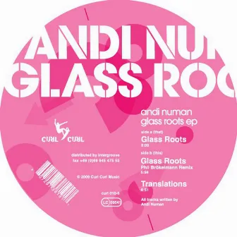 Glass Roots by Andi Numan