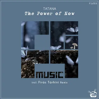 The Power Of Now by Tatana