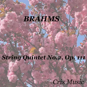 Brahms: String Quintet No.2, Op. 111 by 