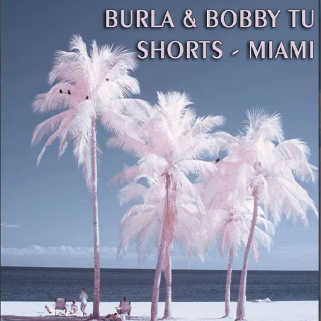 burla & bobby tu shorts (miami)