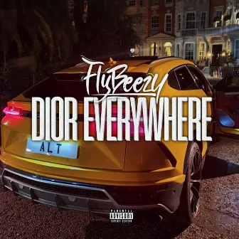 Dior Everywhere by FlyBeezy