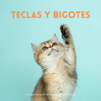 Teclas Y Bigotes: Sonidos Tranquilos De Piano Para Gatos Felices by Consorte de música de piano relajante