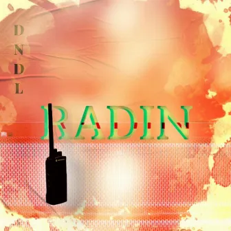 Radin by Dndl