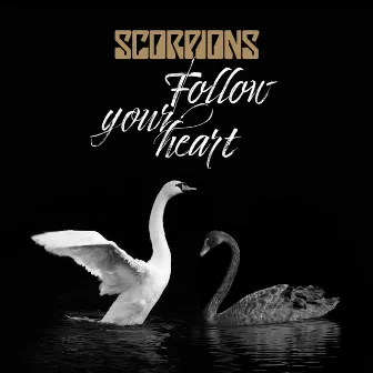 Follow Your Heart by Scorpions