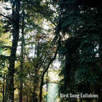 Singing Birds by Bird Song Lullabies